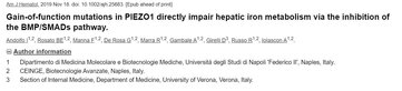 “Gain-of-function mutations in PIEZO1 directly impair hepatic iron metabolism via the inhibition of the BMP/SMADs pathway”  shows a link between PIEZO1 and iron metabolism
