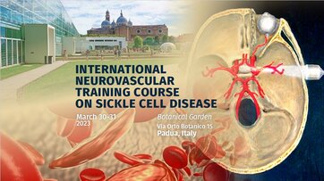 The  International Neurovascular Training Course on Sickle Cell Disease has been held last March!