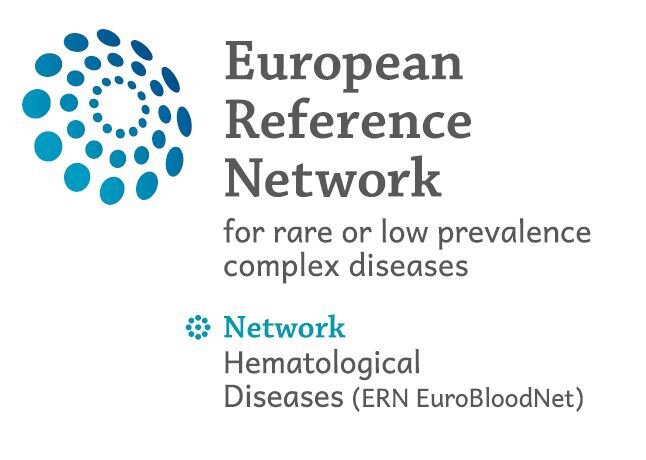 ERN-EuroBloodNet deliverables from 2nd year of implementation already available!